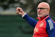 Euro 2024: Spain boss wary of ‘powerful, experienced’ England