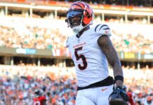 Tee Higgins looks ready for role as Bengals’ WR1