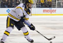 Jets trade Rutger McGroarty to Penguins for Brayden Yager