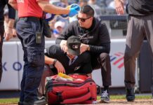 Umpire Nick Mahrley suffers concussion from broken bat