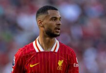 Cody Gakpo reveals what position Arne Slot says he will play – Liverpool FC