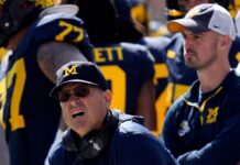 Former Michigan Stallions analyst falls in debut as interim high school coach
