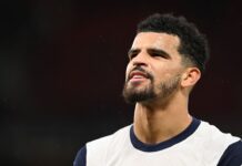 England squad: Tottenham’s Dominic Solanke picked by Carsley