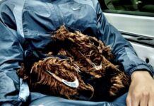 Victor Wembanyama shows off furry footwear for Spurs’ home opener