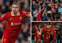 ‘Professional’ win, bizarre bookings & Nunez the enigma – Liverpool 2-0 Bologna – Liverpool FC